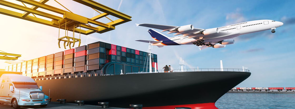 kırlangıç bayraklar